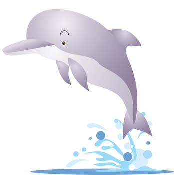 Dolphin Vector 7