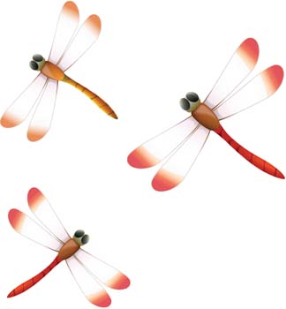 Dragonfly 2