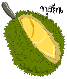 Durian,Thai Fruit