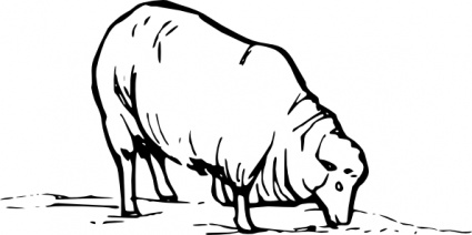 Earting Sheep clip art