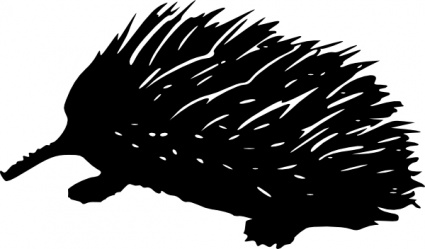 Echidna clip art