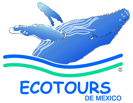 Ecotours De Mexico