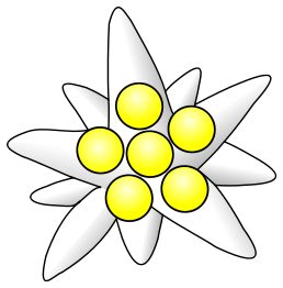 Edelweiss