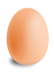 Egg