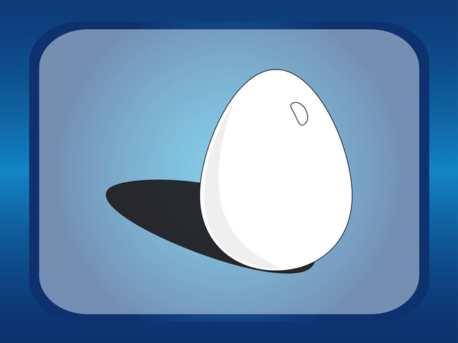 Egg Illustration