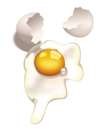 Egg Uncooked