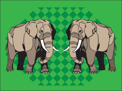 Elefante