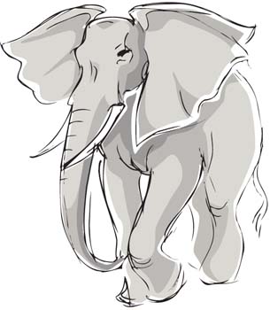 Elephant 2