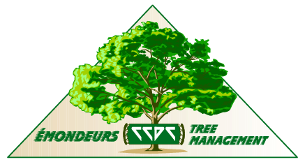 Emondeurs Tree Management