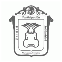 Escudo Del Municipio DE Metepec