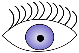 Eye