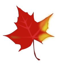 Fall leaf