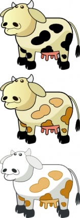 Farm Color Colour Cows Animal