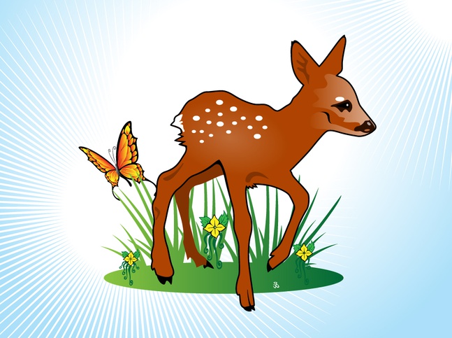 Fawn