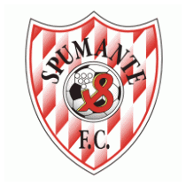 FC Spumante Cricova