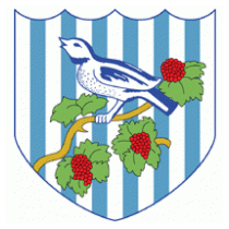 FC West Bromwich Albion (90's logo)