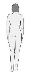 Female body silhouette - back