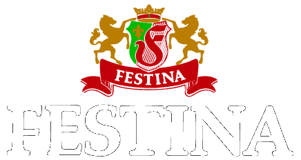 Festina Watches