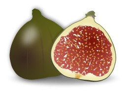 Fig Fruit