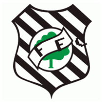 Figueirense Futebol Clube