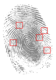 Fingerprint