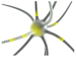 Firing Neuron