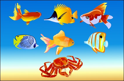 Fish and crab vector