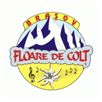 Floare de Colt Brasov