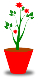 Flower Pot