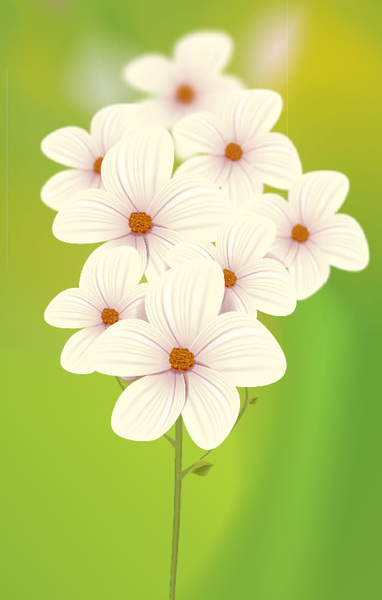 Flower Vector Cartoon