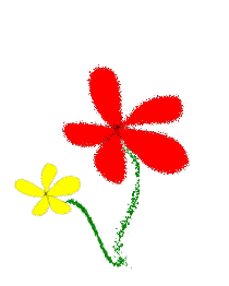 Flowers, Yellow and Red