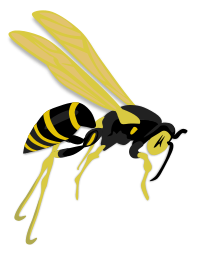 Flying wasp
