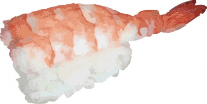 Food Nigiri Sushi Ebi Raw Shrimp