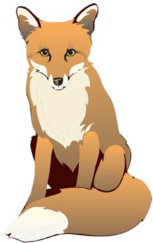 Fox Vector 13