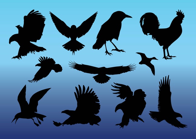 Free Birds Vectors