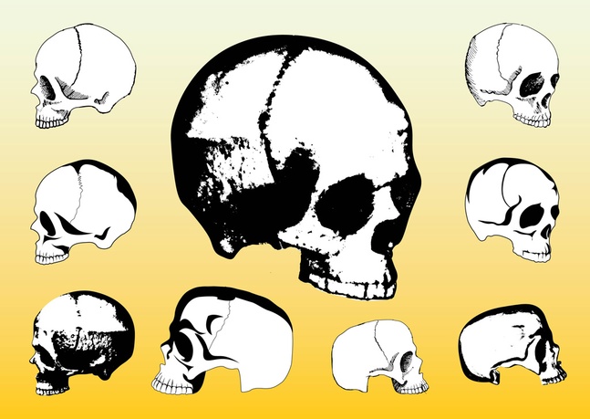 Free Skulls Vector Packs