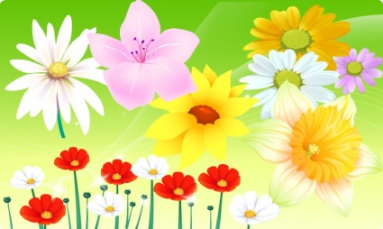 Free Vector Flowers 06