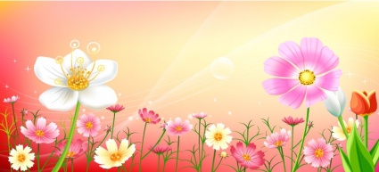 Free Vector Flowers