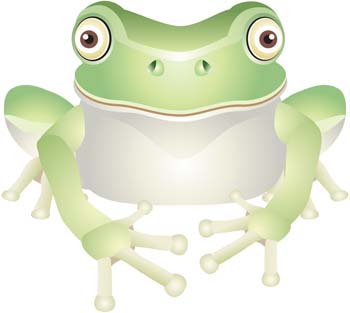 Frog 11