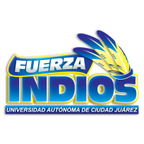 Fuerza Indios