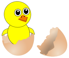 Funny Chick Cartoon Newborn Coming Out from the Egg