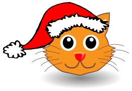 Funny kitty face with Santa Claus hat