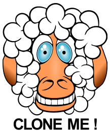 Funny Sheep