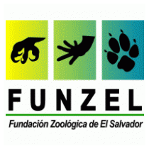 Funzel