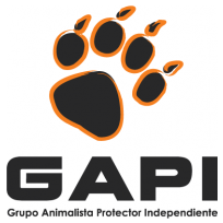 Gapi