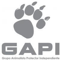 Gapi