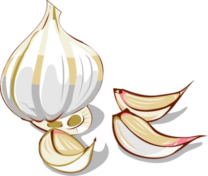 Garlic clip art