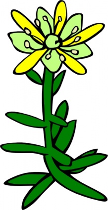 Gg Saxifraga Aizoides clip art