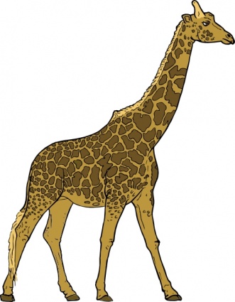 Giraffe clip art