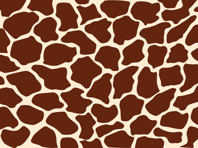 Giraffe Pattern